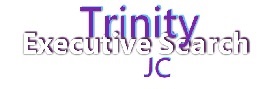trinityjcsearch.com.hk